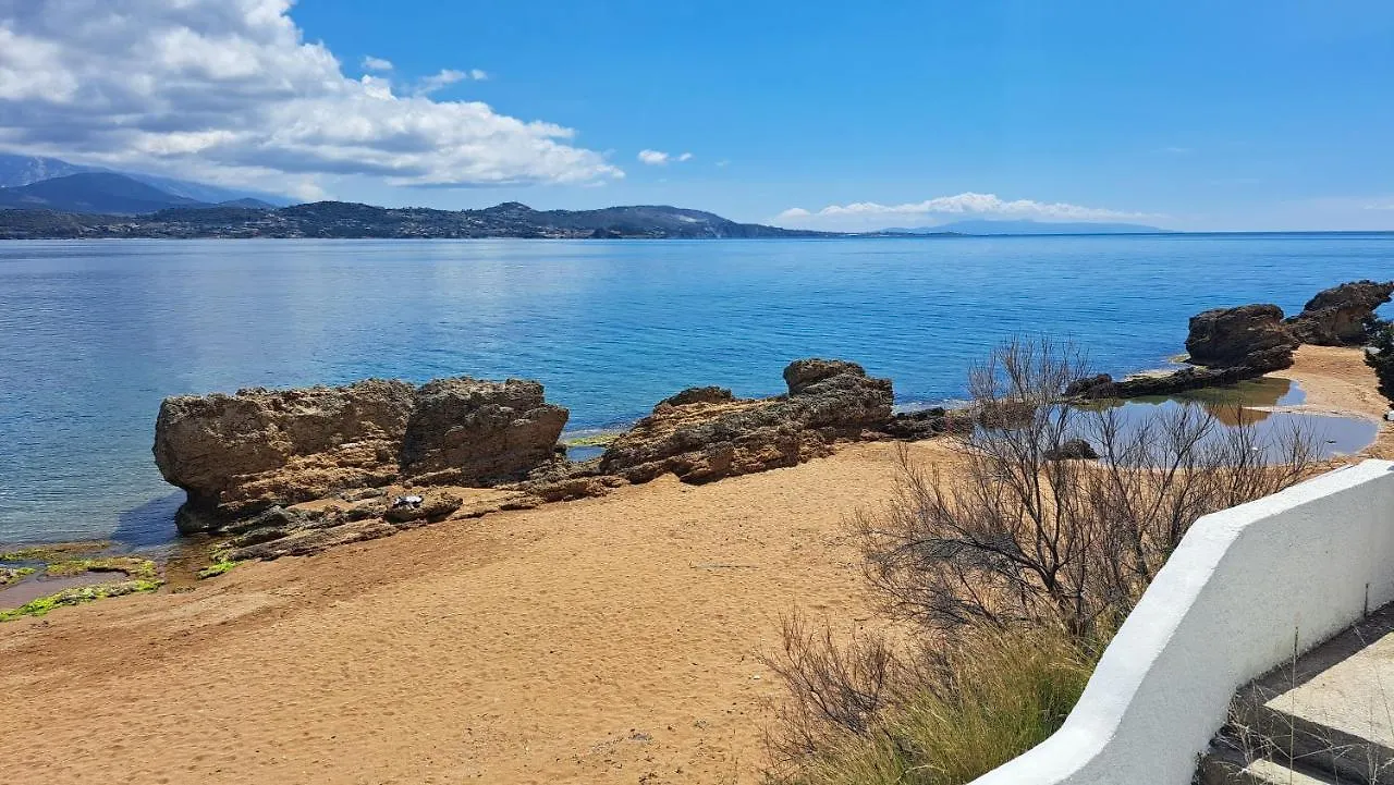 Alekos Beach Houses-Thalassa Lixouri 0*,
