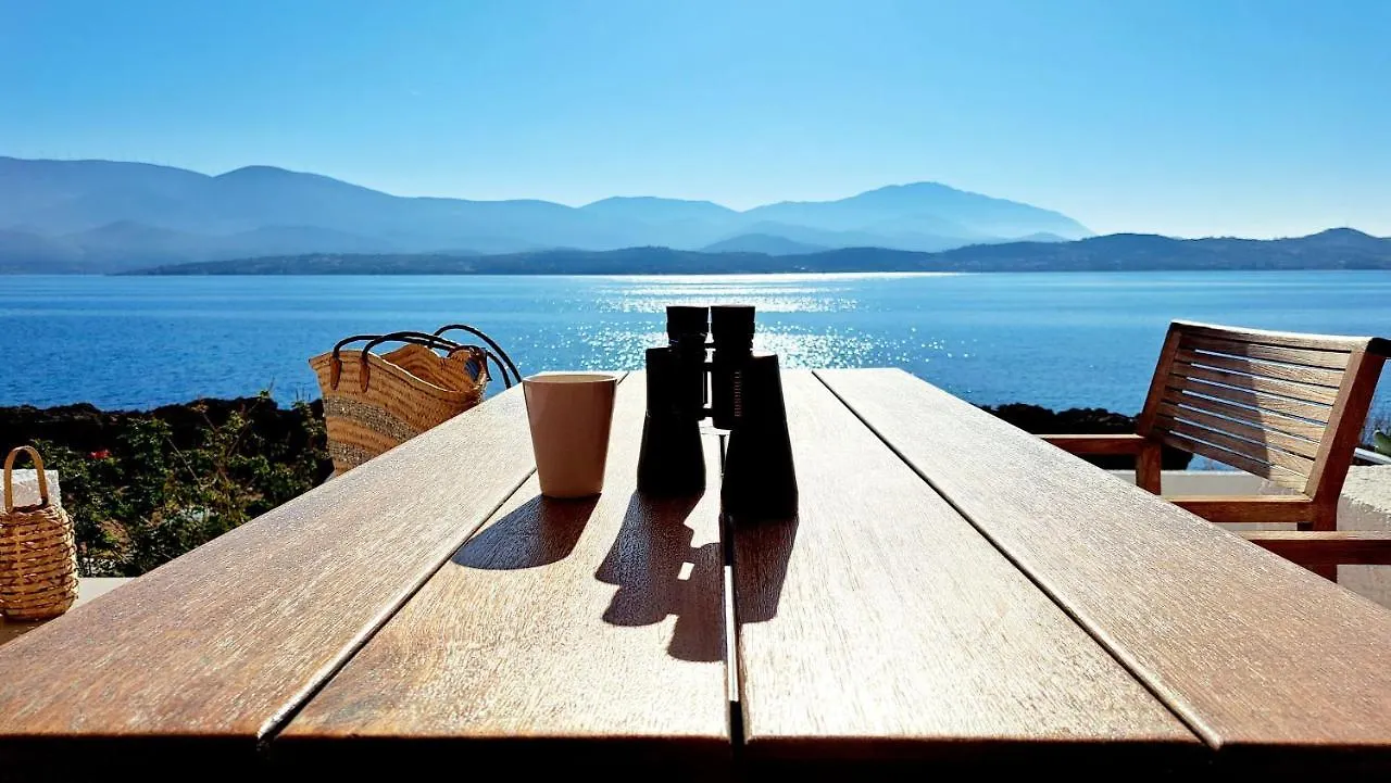 Alekos Beach Houses-Thalassa Lixouri Semesterbostad